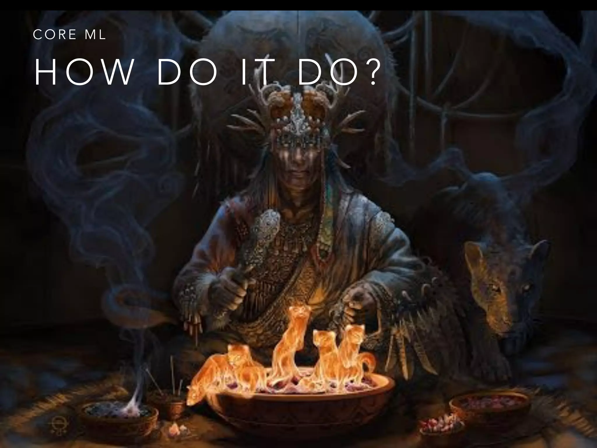 H O W D O I T D O ?
C O R E M L
 