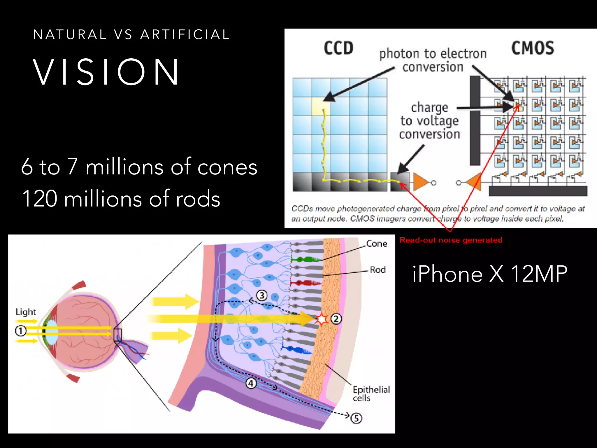 V I S I O N
N AT U R A L V S A R T I F I C I A L
6 to 7 millions of cones
120 millions of rods
iPhone X 12MP
 
