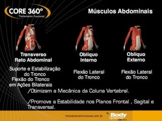 Core musculos ativados e importância