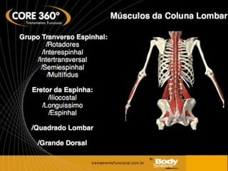 Core musculos ativados e importância