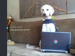puppy break
Any questions so far?
 
