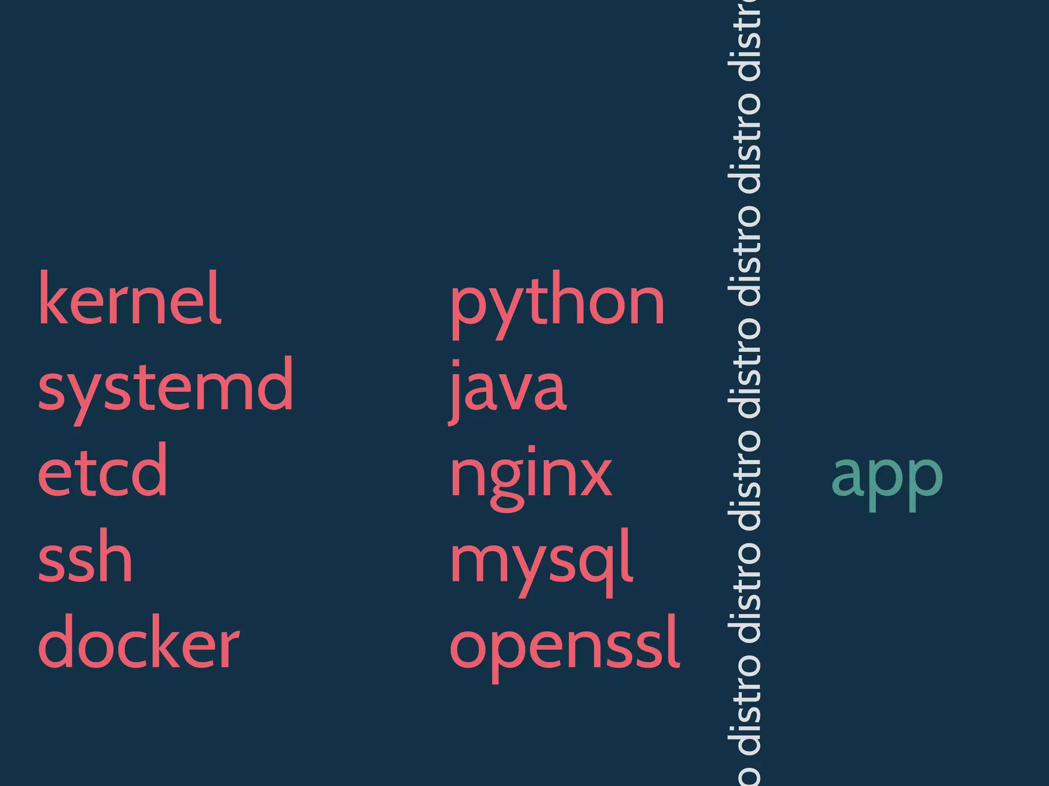 kernel
systemd
etcd
ssh
docker
python
java
nginx
mysql
openssl
app
distrodistrodistrodistrodistrodistrodistr
 
