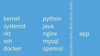 kernel
systemd
rkt
ssh
docker
python
java
nginx
mysql
openssl
app
trodistrodistrodistrodistrodistro
 