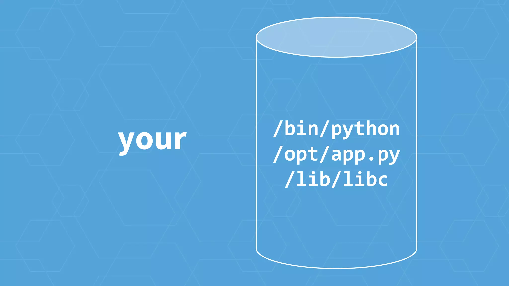 your /bin/python
/opt/app.py
/lib/libc
 