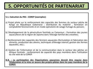 5. OPPORTUNITÉS DE PARTENARIAT
5.1. Exécution du PAS - COREP (exemples):
a) Projet pilote sur le renforcement des capacités des femmes du secteur pêche de
Kango en République Gabonaise : distribution du matériel , formation en
comptabilité fonctionnelle et en mode opératoire de salage-fumage du poisson;
b) Développement de la péneiculture familiale au Cameroun : Formation des jeunes
aquaculteurs de la région de Japoma dans l’élevage familial des crevettes;
c) Renforcement des capacités des fermiers aquacoles (formulation et fabrication des
aliments, production des alevins, techniques d’élevage intensif, gestion des fermes
aquacoles, etc).;
d) Gestion de l’information et de la communication dans le secteur des pêches en
Afrique Centrale : renforcement de capacité des pays membres dans l’utilisation
du site web de la COREP.
N.B. : La participation des Organisations paysannes devrait être requise dans
l’élaboration et la mise en œuvre des projets-pilotes dans les pays membres de la
COREP.
 