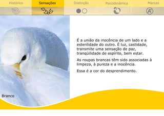 É a união da inocência de um lado e a esterilidade do outro. É luz, castidade, transmite uma sensação de paz, tranqüilidade de espírito, bem estar.  As roupas brancas têm sido associadas à limpeza, à pureza e a inocência.  Essa é a cor do desprendimento.  Branco 