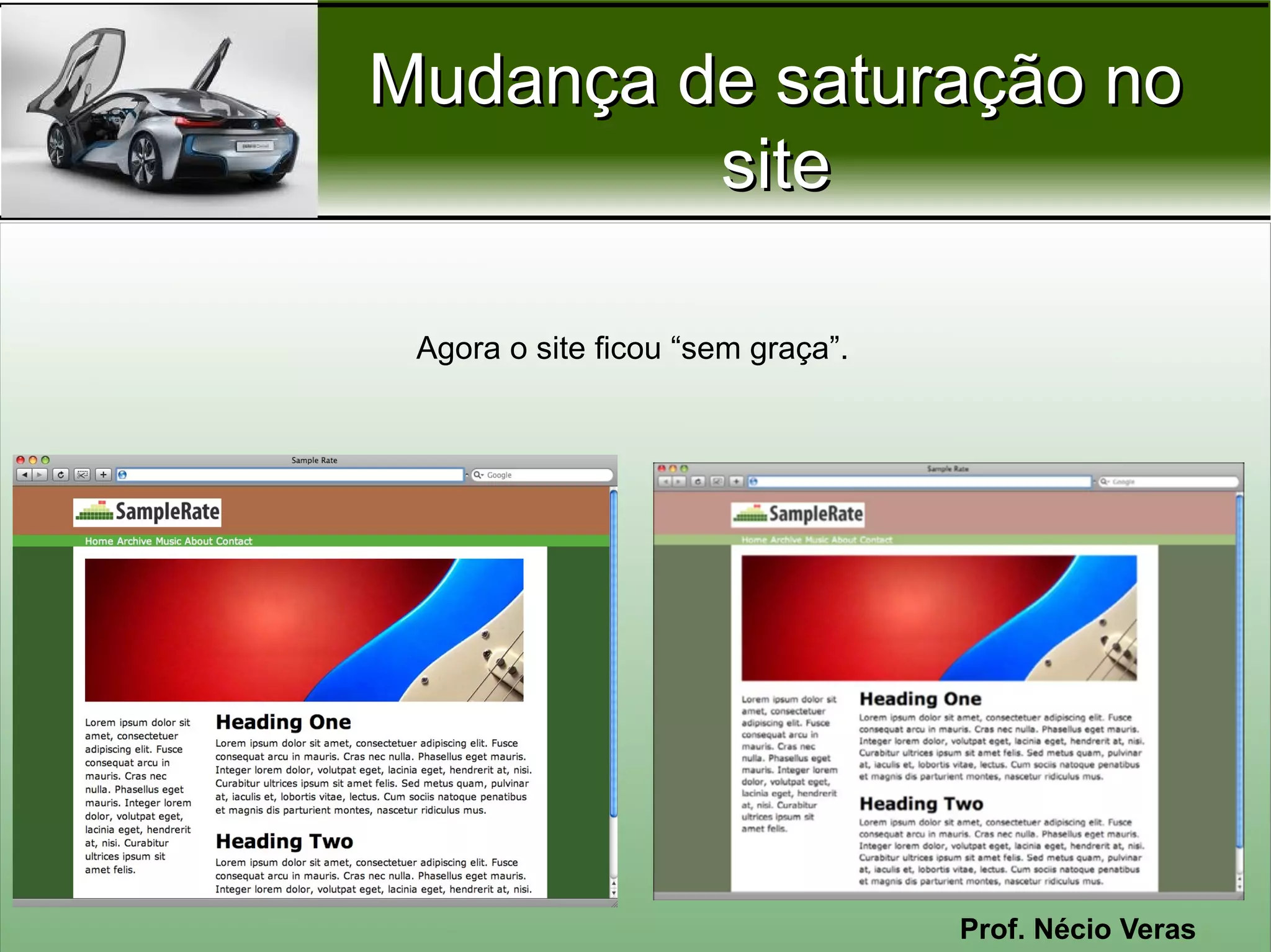 Mudança de saturação no
         site

 Agora o site ficou “sem graça”.




                                   Prof. Nécio Veras
 