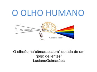 O OLHO HUMANO 
O olhoéuma“câmaraescura” dotada de um 
“jogo de lentes” 
LucianoGuimarães 
 