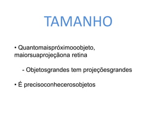 TAMANHO 
• Quantomaispróximooobjeto, 
maiorsuaprojeçãona retina 
- Objetosgrandes tem projeçõesgrandes 
• É precisoconhecerosobjetos 
 