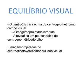 EQUILÍBRIO VISUAL 
• O centroóticoficaacima do centrogeométricono 
campo visual 
- A imageméprojetadainvertida 
- A fóveafica um poucoabaixo do 
centrogeométricodo olho 
• Imagensprojetadas no 
centroóticofavorecemoequilíbrio visual 
 