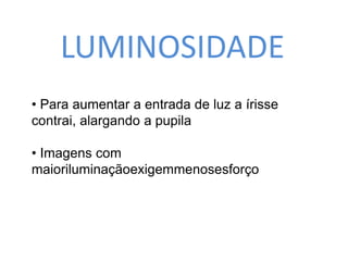 LUMINOSIDADE 
• Para aumentar a entrada de luz a írisse 
contrai, alargando a pupila 
• Imagens com 
maioriluminaçãoexigemmenosesforço 
 