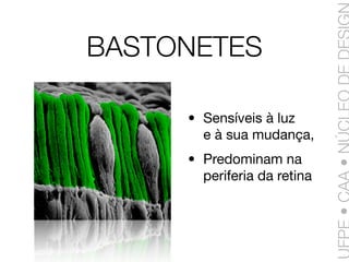 Linguagem da Cores - Aula 1