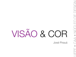 VISÃO & COR
        José Pirauá
 