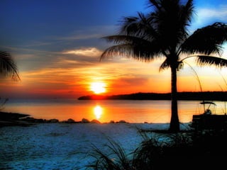 Cores Para Os Olhos E A Alma