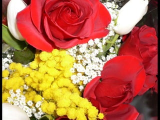 Cores Para Os Olhos E A Alma