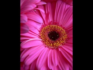 Cores Para Os Olhos E A Alma