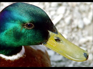 Cores Para Os Olhos E A Alma