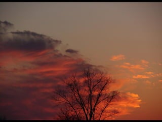 Cores Para Os Olhos E A Alma