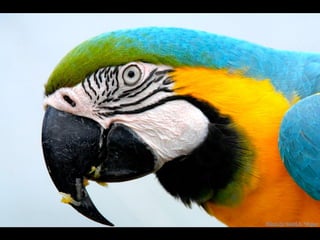 Cores Para Os Olhos E A Alma