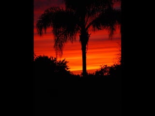 Cores Para Os Olhos E A Alma