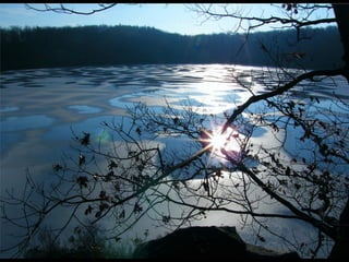 Cores Para Os Olhos E A Alma