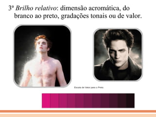 3ª  Brilho relativo : dimensão acromática, do branco ao preto, gradações tonais ou de valor. 