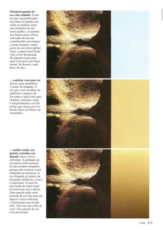 Manipule paineis de
cor com cuidado. A nao
ser que sua publica<;ao
use uma cor padrao em
todos os paineis como
urn elemento de seu
estilo grafico, os paineis
que ncam junto a lotos
coloridas devem ser
considerados em rela<;aa
a essas imagens, como
parte de urn efeito global.
Aqui, 0 painel azul briga
com a foto bronzeada.
Ha alguma razao pela
qual voce quer que fique
assim? Se houver, tudo
bem. Se nao ...
... combine com uma cor
da foto para amplificar
o poder da imagem. A
cor que voce escolher ira
enfatizar 0 aspecto da
foto para 0 qual voce quer
chamar a aten<;ao. Aqui
e simplesmente a cor da
rocha (que neste caso e a
Rocha Ayer au Uluru, na
Australia) ...
... melhor ainda: use
paineis coloridos em
degrade junto a fotos
coloridas. A grada<;aode
cor parece mais natural
do que paineis chapados,
porque nao existem cores
chapadas na natureza. A
cor chapada s6 existe em
situa<;6es artificiais, como
a impressao. 0 azul do
ceu muda de valor tonal
do horizonte ate 0 zenite.
Uma parede pode estar
pintada de cor lisa mas seu
aspecto varia conforme
a ilumina<;ao que incide
nela. Veja isso em volta de
voce. Use paineis de cor
com precau<;ao.
 