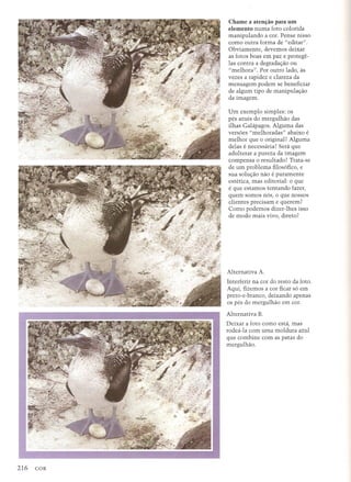 Chame a aten~ao para urn
elemento numa foto colorida
manipulando a cor. Pense nisso
como outra forma de "editar".
Obviamente, devemos deixar
as fotos boas em paz e protege-
las contra a degradac;ao ou
"melhora". Por outro lado, as
vezes a rapidez e clareza da
mensagem podem se beneficiar
de algum tipo de manipulac;ao
da imagem.
Urn exemplo simples: os
pes azuis do mergulhao das
ilhas Galapagos. Alguma das
vers6es "melhoradas" abaixo e
melhor que 0 original? Alguma
delas e necessaria? sera que
adulterar a pureza da imagem
compensa 0 resultado? Trata-se
de urn problema filosofico, e
sua soluc;ao nao e puramente
estetica, mas editorial: 0 que
e que estamos tentando fazer,
quem somos nos, 0 que nossos
clientes precis am e querem?
Como podemos dizer-lhes isso
de modo mais vivo, direto?
Alternativa A.
Interferir na cor do resto da foto.
Aqui, fizemos a cor ficar so em
preto-e-branco, deixando apenas
os pes do mergulhao em cor.
Alternativa B.
Deixar a foto como esta, mas
rodea-la com uma moldma azul
que combine com as patas do
mergulhao.
 