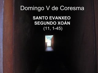 SANTO EVANXEO  SEGUNDO XOÁN  (11, 1-45) Domingo V de Coresma 