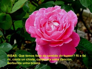 RISAS: Que temos feito do sentido do humor? Ri e fai
rir, conta un chiste, cantaruxa unha canción,
borburiña unha broma.
 