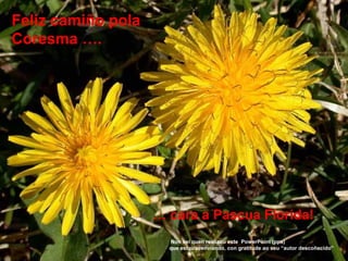 Feliz camiño pola
Coresma ….
… cara a Pascua Florida!
Non sei quen realizou este PowerPoint (pps)
que estou reenviando, con gratitude ao seu “autor descoñecido”
 