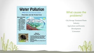 City Sewage Treatment Plants
Industry
Agriculture and Forestry
Development
Consumers
What causes the
problems?
 