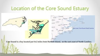 Location of the Core Sound Estuary
Core Sound is a bay located just 16.2 miles from Harkers Island, on the east coast of North Carolina.
 