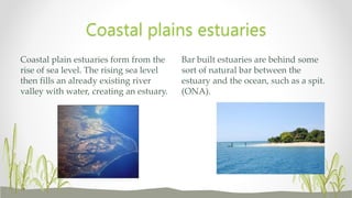 Bar built estuaries are behind some
sort of natural bar between the
estuary and the ocean, such as a spit.
(ONA).
Coastal plain estuaries form from the
rise of sea level. The rising sea level
then fills an already existing river
valley with water, creating an estuary.
Coastal plains estuaries
 