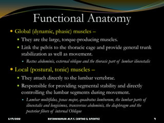 Functional Anatomy
  Global (dynamic, phasic) muscles –
    They are the large, torque-producing muscles.
    Link the ...