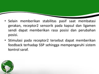 • Selain memberikan stabilitas pasif saat membatasi
gerakan, receptor2 sensorik pada kapsul dan ligamen
sendi dapat memberikan rasa posisi dan perubahan
posisi.
• Stimulasi pada receptor2 tersebut dapat memberikan
feedback terhadap SSP sehingga mempengaruhi sistem
kontrol saraf.
 
