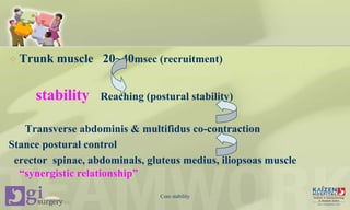  Trunk muscle 20~40msec (recruitment)
stability Reaching (postural stability)
Transverse abdominis & multifidus co-contraction
Stance postural control
erector spinae, abdominals, gluteus medius, iliopsoas muscle
“synergistic relationship”
Core stability
 