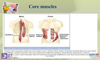 Core muscles
Core stability
 