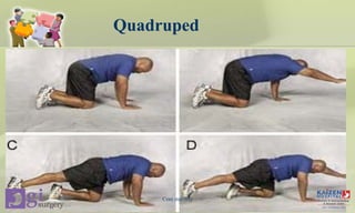 Quadruped
Core stability
 