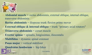  Abdomial muscle = rectus abdominis, external oblique, internal oblique,
transverse abdominis
 Rectus abdominis = iliopsoas trunk flexion prime mover
 External oblique & internal oblique = trunk “primary axial rotators"
 Transverse abdominis = corset muscle
 Erector spinae = spinalis, longissimus, iliocostalis
 Multifidus = dynamic spinal extensor
 Psoas major = vertical stabilizer
 Quadratus lumborum = hip hiker
Core stability
 