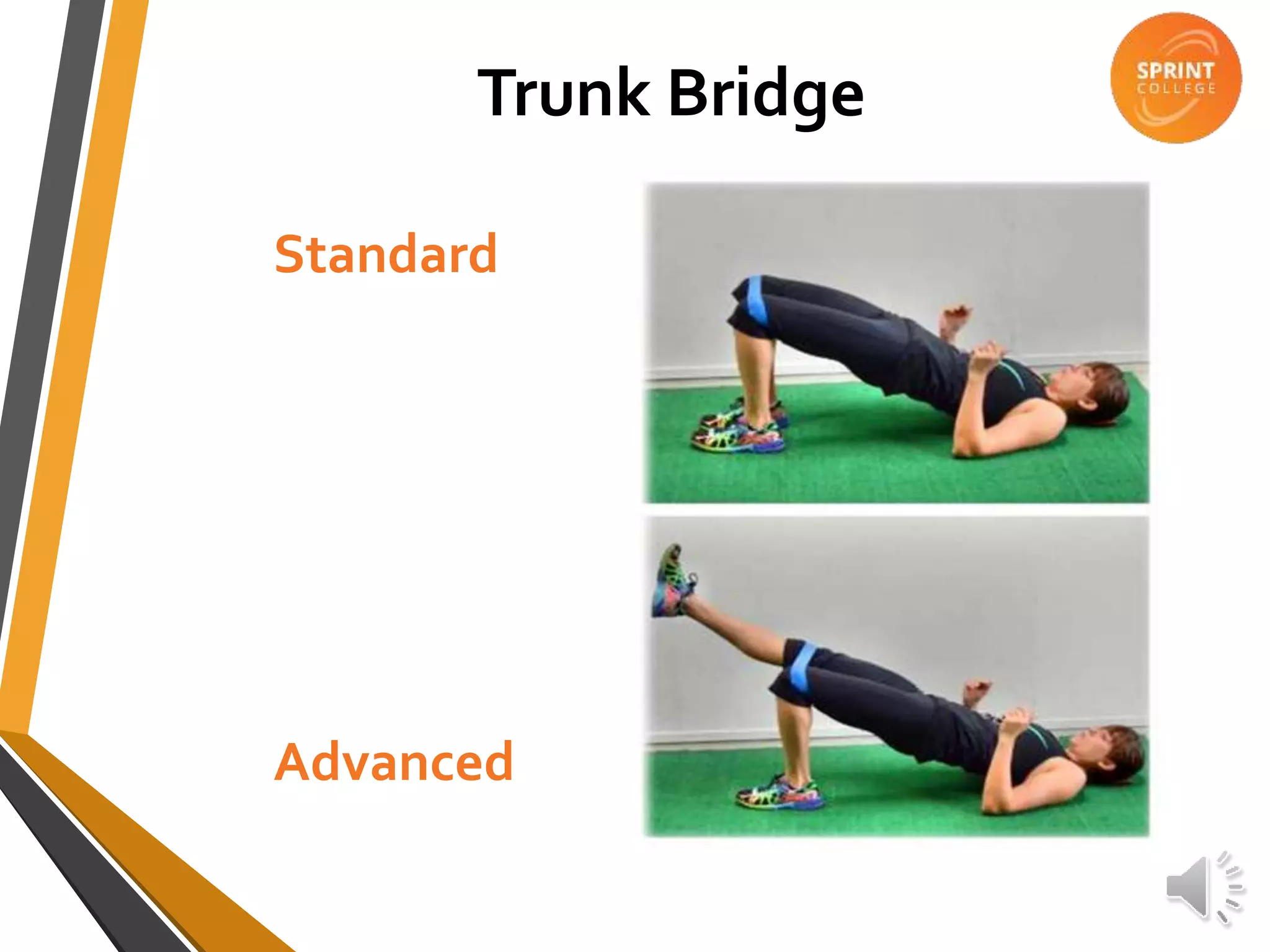 Trunk Bridge
Standard
Advanced
 