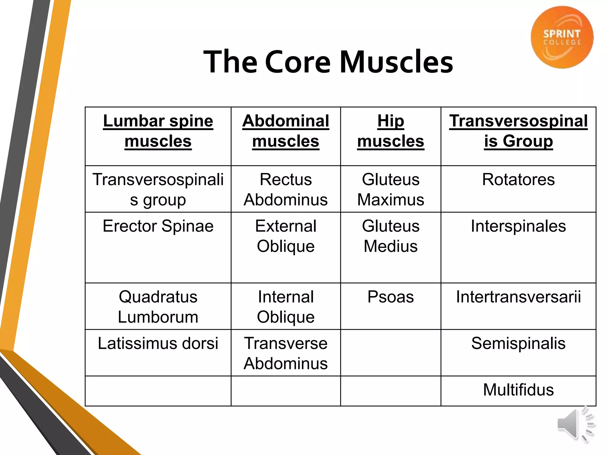 The Core Muscles
Lumbar spine
muscles
Abdominal
muscles
Hip
muscles
Transversospinal
is Group
Transversospinali
s group
Rectus
Abdominus
Gluteus
Maximus
Rotatores
Erector Spinae External
Oblique
Gluteus
Medius
Interspinales
Quadratus
Lumborum
Internal
Oblique
Psoas Intertransversarii
Latissimus dorsi Transverse
Abdominus
Semispinalis
Multifidus
 