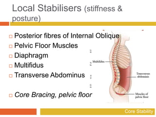 Core stability schools session PPT