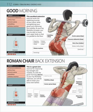 112 C O R E -T R A I N I N G E X E R C I S E S
DIFFICULTY LEVEL
Extension
TARGET MOVEMENT
 ▪ Transverse abdominis
 ▪ Pelvic ﬂoor
 ▪ Erector spinae
 ▪ Multiﬁdus
 ▪ Gluteus maximus
GOOD MORNING
ROMAN CHAIR BACK EXTENSION
This excellent extension
exercise works the
stabilizing muscles
of your spine, while
strengthening your
glutes and improving
hip mobility. As your hip
flexibility increases, you
may be able to lower
your upper body so that
it is parallel to the floor.
This is a great core
exercise for improving
hip strength and
mobility. As with the
good morning (above),
as your hip flexibility
improves, you will be
able to lower your
torso even farther.
 ▪ Transverse abdominis
 ▪ Pelvic ﬂoor
 ▪ Erector spinae
 ▪ Multiﬁdus
 ▪ Gluteus maximus
TARGET MOVEMENT
TARGET MUSCLES
DIFFICULTY LEVEL
Extension
TARGET MUSCLES
Gluteus maximus
Erector spinae (deep)
Pelvic floor (hidden)
Multifidus
(deep)
Transverse abdominis (deep)
Gluteus medius (deep)
Quadratus
lumborum
(deep)
Gluteus
minimus
(deep)
Quadriceps
Hamstrings
Transverse
abdominis
(deep)
Gluteus
maximus Pelvic floor
(hidden)
Multifidus (deep)
Latissimus dorsi
Gluteus
minimus
(deep)
Gluteus
medius
(deep)
Deltoids
Internal
obliques
(deep)
External
obliques
Erector spinae (deep)
 