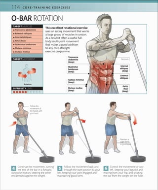 114 C O R E -T R A I N I N G E X E R C I S E S
O-BAR ROTATION
Maintain a
slight bend
in your knees
Follow the movement back and
through the start position to your
left, keeping your core engaged and
maintaining good form.
Control the movement to your
left, keeping your legs still and
moving from your hip, and pivoting
the bar from the weight on the floor.
Continue the movement, turning
the end of the bar in a forward,
clockwise motion, keeping the other
end pressed against the weight.
Follow the
movement of
the hands with
your head
TARGET MUSCLES
 ▪ Transverse abdominis
 ▪ External obliques
 ▪ Internal obliques
 ▪ Pelvic ﬂoor
 ▪ Quadratus lumborum
 ▪ Gluteus minimus
 ▪ Gluteus medius
TARGET MOVEMENT
Rotation
DIFFICULTY LEVEL
This excellent rotational exercise
uses an arcing movement that works
a large group of muscles in unison.
As a result it offers a useful full-
body multi-joint movement
that makes a good addition
to any core-strength
exercise programme.
Pelvic
floor
(deep)
Pectorals
Transverse
abdominis
(deep)
Internal
obliques
(deep)
External
obliques
Quadratus
lumborum
(deep)
Gluteus minimus
(deep)
Gluteus medius
(deep)
 