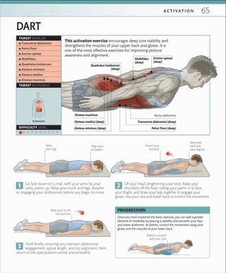 65A C T I V A T I O N
Hold briefly, ensuring you maintain abdominal
engagement, spinal length, and hip alignment, then
return to the start position slowly and smoothly.
Lie face down on a mat, with your arms by your
sides, palms up. Relax your trunk and legs. Breathe
in, engaging your abdominals before you begin to move.
Lift your head, lengthening your neck. Raise your
shoulders off the floor, rolling your palms in to face
your thighs, and draw your legs together to engage your
glutes. Use your abs and lower back to control the movement.
DART
Keep your
neck and
back aligned
Align your
shoulders
Relax back to the
start position
This activation exercise encourages deep core stability and
strengthens the muscles of your upper back and glutes. It is
one of the most effective exercises for improving posture
awareness and alignment.
Clench your
buttocks
Relax
your legs
Once you have mastered the basic exercise, you can add a greater
element of instability by placing a stability disk beneath your hips
and lower abdomen. As before, control the movement using your
glutes and the muscles of your lower back.
PROGRESSION
TARGET MUSCLES
 ▪ Transverse abdominis
 ▪ Pelvic ﬂoor
 ▪ Erector spinae
 ▪ Multiﬁdus
 ▪ Quadratus lumborum
 ▪ Gluteus minimus
 ▪ Gluteus medius
 ▪ Gluteus maximus
TARGET MOVEMENT
DIFFICULTY LEVEL
Stabilize yourself
with your core
Extension
Quadratus lumborum
(deep)
Multifidus
(deep)
Erector spinae
(deep)
Pelvic floor (deep)
 Gluteus maximus
Gluteus medius (deep)
Gluteus minimus (deep)
Transverse abdominis (deep)
Rectus abdominis
 