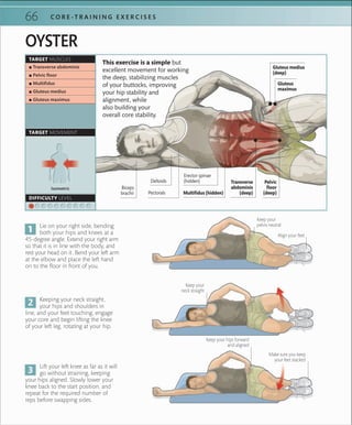 66 C O R E -T R A I N I N G E X E R C I S E S
Isometric
TARGET MUSCLES
TARGET MOVEMENT
DIFFICULTY LEVEL
 ▪ Transverse abdominis
 ▪ Pelvic ﬂoor
 ▪ Multiﬁdus
 ▪ Gluteus medius
 ▪ Gluteus maximus
OYSTER
Lie on your right side, bending
both your hips and knees at a
45-degree angle. Extend your right arm
so that it is in line with the body, and
rest your head on it. Bend your left arm
at the elbow and place the left hand
on to the floor in front of you.
Keeping your neck straight,
your hips and shoulders in
line, and your feet touching, engage
your core and begin lifting the knee
of your left leg, rotating at your hip.
Lift your left knee as far as it will
go without straining, keeping
your hips aligned. Slowly lower your
knee back to the start position, and
repeat for the required number of
reps before swapping sides.
Keep your
neck straight
Make sure you keep
your feet stacked
Align your feet
Keep your hips forward
and aligned
This exercise is a simple but
excellent movement for working
the deep, stabilizing muscles
of your buttocks, improving
your hip stability and
alignment, while
also building your
overall core stability.
Keep your
pelvis neutral
Transverse
abdominis
(deep)
Biceps
brachii Pectorals
Pelvic
floor
(deep)
Gluteus medius
(deep)
Gluteus
maximus
Multifidus (hidden)
Deltoids
Erector spinae
(hidden)
 