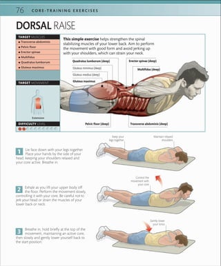 C O R E -T R A I N I N G E X E R C I S E S76
Extension
TARGET MUSCLES
TARGET MOVEMENT
DIFFICULTY LEVEL
 ▪ Transverse abdominis
 ▪ Pelvic ﬂoor
 ▪ Erector spinae
 ▪ Multiﬁdus
 ▪ Quadratus lumborum
 ▪ Gluteus maximus
This simple exercise helps strengthen the spinal
stabilizing muscles of your lower back. Aim to perform
the movement with good form and avoid jerking up
with your shoulders, which can strain your neck.
Maintain relaxed
shoulders
Exhale as you lift your upper body off
the floor. Perform the movement slowly,
controlling it with your core. Be careful not to
jerk your head or strain the muscles of your
lower back or neck.
Lie face down with your legs together.
Place your hands by the side of your
head, keeping your shoulders relaxed and
your core active. Breathe in.
Breathe in, hold briefly at the top of the
movement, maintaining an active core,
then slowly and gently lower yourself back to
the start position.
Control the
movement with
your core
Gently lower
your torso
Keep your
legs together
DORSAL RAISE
Erector spinae (deep)
Multifidus (deep)
Quadratus lumborum (deep)
Pelvic floor (deep) Transverse abdominis (deep)
Gluteus minimus (deep)
Gluteus maximus
Gluteus medius (deep)
 