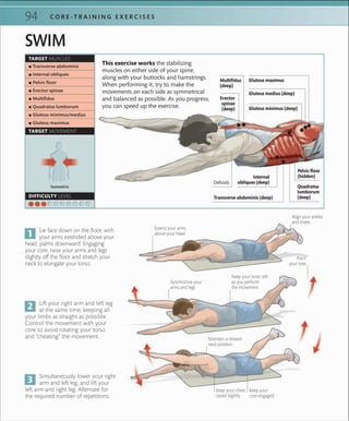 94 C O R E -T R A I N I N G E X E R C I S E S
Lie face down on the floor, with
your arms extended above your
head, palms downward. Engaging
your core, raise your arms and legs
slightly off the floor and stretch your
neck to elongate your torso.
Lift your right arm and left leg
at the same time, keeping all
your limbs as straight as possible.
Control the movement with your
core to avoid rotating your torso
and “cheating” the movement.
Simultaneously lower your right
arm and left leg, and lift your
left arm and right leg. Alternate for
the required number of repetitions.
Extend your arms
above your head
Synchronize your
arms and legs
Maintain a relaxed
neck position
Keep your chest
raised slightly
Point
your toes
Align your ankles
and knees
Keep your torso still
as you perform
the movement
This exercise works the stabilizing
muscles on either side of your spine,
along with your buttocks and hamstrings.
When performing it, try to make the
movements on each side as symmetrical
and balanced as possible. As you progress,
you can speed up the exercise.
Keep your
core engaged
TARGET MUSCLES
TARGET MOVEMENT
Isometric
DIFFICULTY LEVEL
SWIM
 ▪ Transverse abdominis
 ▪ Internal obliques
 ▪ Pelvic ﬂoor
 ▪ Erector spinae
 ▪ Multiﬁdus
 ▪ Quadratus lumborum
 ▪ Gluteus minimus/medius
 ▪ Gluteus maximus
Erector
spinae
(deep)
Multifidus
(deep)
Quadratus
lumborum
(deep)Transverse abdominis (deep)
Internal
obliques (deep)
Gluteus maximus
Gluteus medius (deep)
Gluteus minimus (deep)
Pelvic floor
(hidden)
Deltoids
 