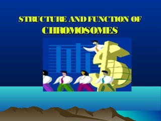 STRUCTURE ANDFUNCTION OFSTRUCTURE ANDFUNCTION OF
CHROMOSOMESCHROMOSOMES
 
